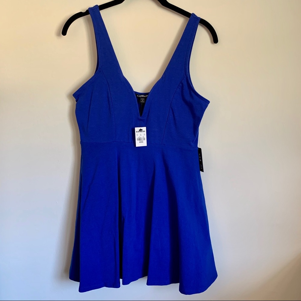 Express Skater Dress NWT Petite S